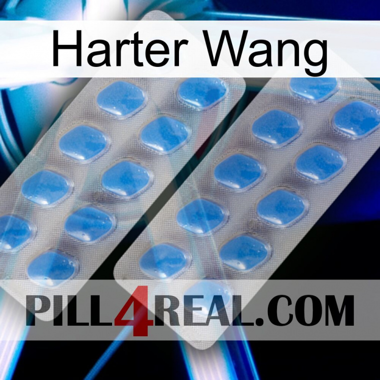 Hard Wang 23